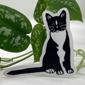 Clear Tuxedo Cat Sticker - Waterproof Vinyl - Hydro Flask - Water Bottle - Scratch-Resistant - Black & White Cats - High Quality Stickers