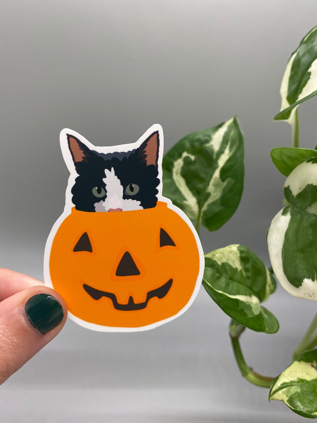 Cute Spooky Black Cat Sticker Kitten Pumpkin Stationary Fall Halloween ...