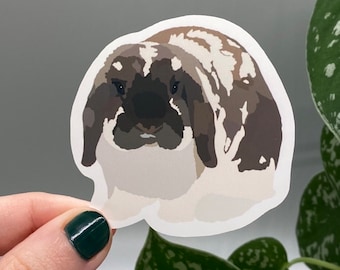 Adorable Holland Lop Rabbit Sticker - Mini Lops - Bunny Stickers - Murder Buns - Bun Loafs - Pocket Pet Gift - Broken Chinchilla Coat Color