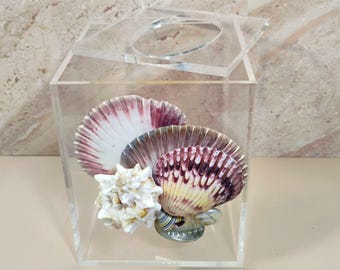 Vtg Clear Acrylic Tissue Box Cover Holder Sea Shells Walt Disney Company
