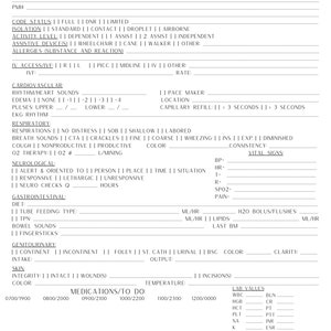 Extensive Nursing Report Sheet Digital Printable.