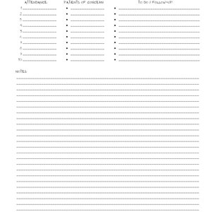 Interdisciplinary (IDT) Meeting Notes Digital Printable.