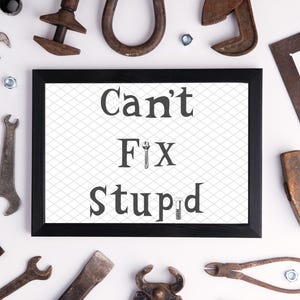 Can&#39;t Fix Stupid *Instant Digital Download PNG, JPG, SVG*