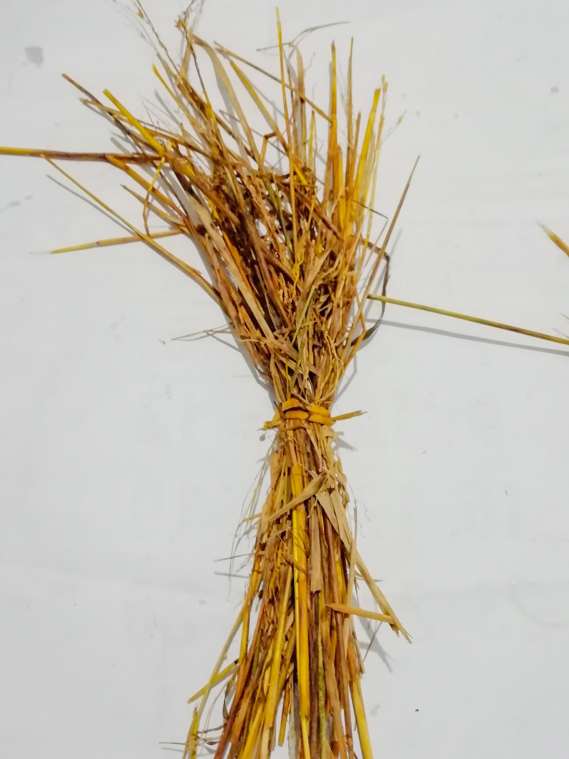 Paddy or Rice Straw Organic Chopped DRY Etsy