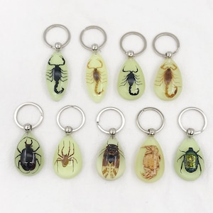 Resin Real Bugs, Beetles, Scorpion spider Keychain Grows in the dark