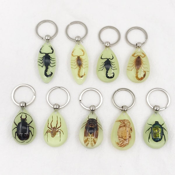 Resin Real Bugs, Beetles, Scorpion spider Keychain Grows in the dark