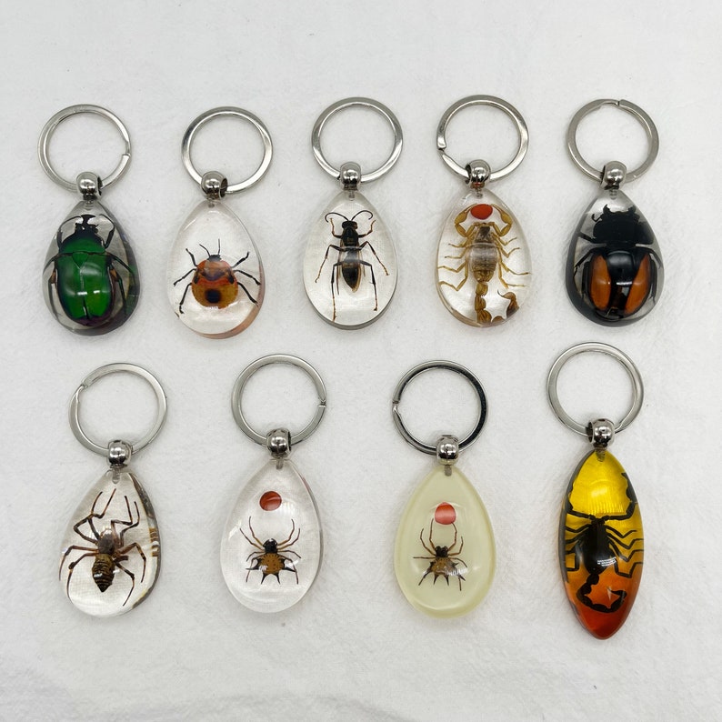 Resin Real Bugs Beetles Scorpion Spider Keychain Etsy