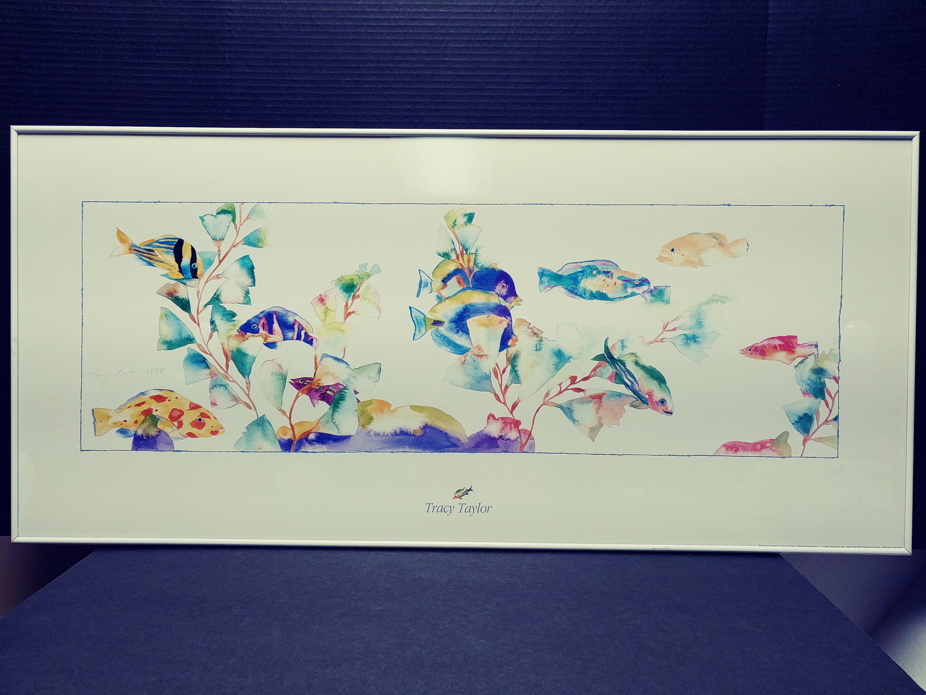 TRACY TAYLOR 1987 Signed warm Watercolour Fish Art Print White Metal