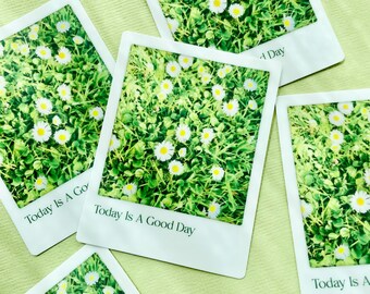 Daisy Polaroid Sticker: Waterproof Vinyl Flower Decal