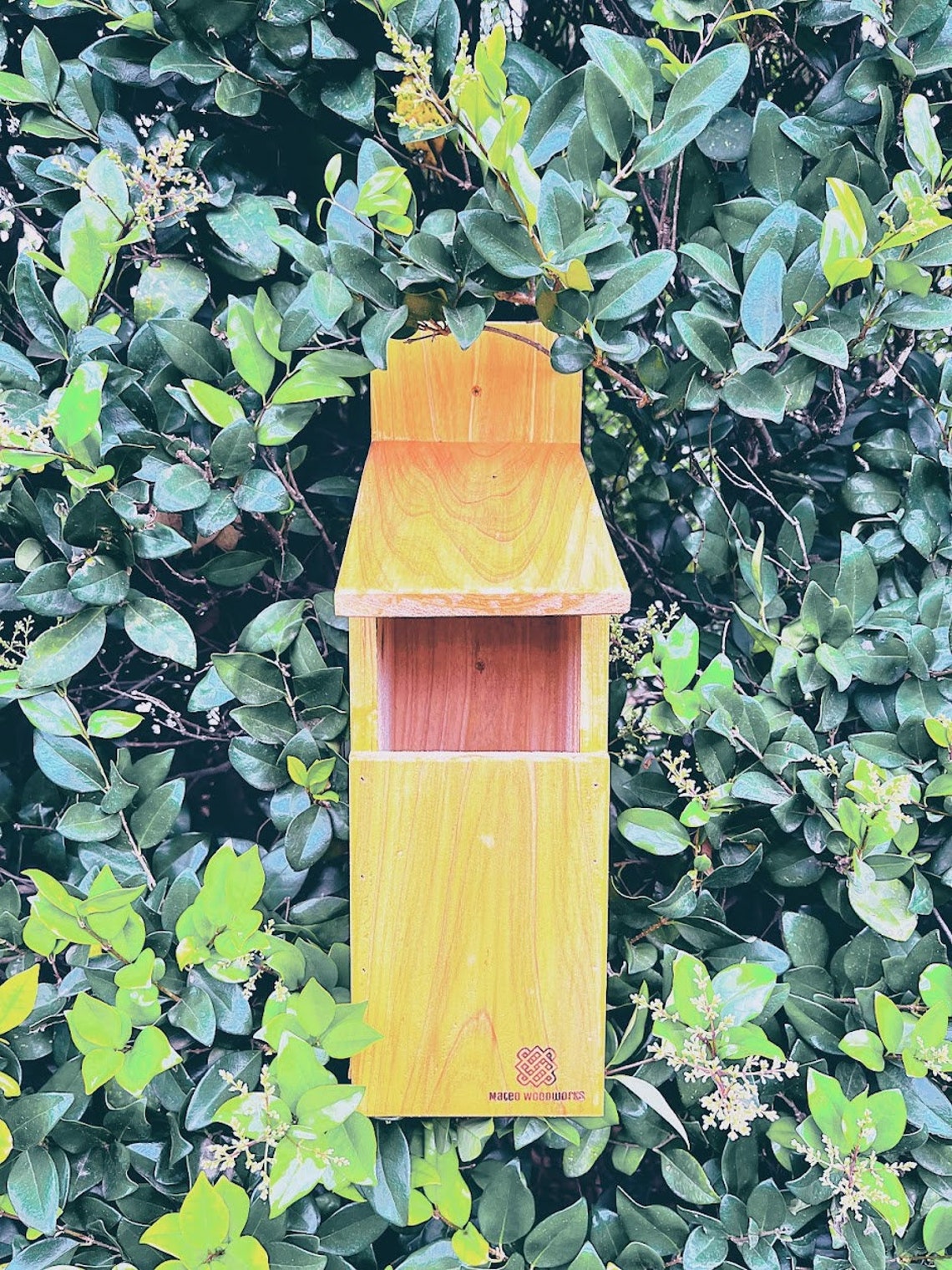 Small Cedar Owl Box Screech Owl Nesting Box Bird House Etsy