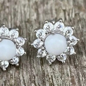 Cremation Ashes Earrings, Pet Ashes Cremation Jewelry, Pet Memorial Ashes Jewelry, Pet Cremation Ashes Earrings, Cremation Ashes Jewelry