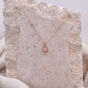 Op de afbeelding: Een delicate gouden ketting met een klein, rond hangertje met een geperste roze bloem ingekapseld in helder hars.