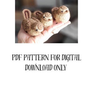 Könnte beinhalten: Gehäkelte Tierfiguren in Braun- und Beigetönen, darunter ein Hase und zwei Vögel. Unter dem Bild steht der Text "PDF PATTERN FOR DIGITAL DOWNLOAD ONLY".