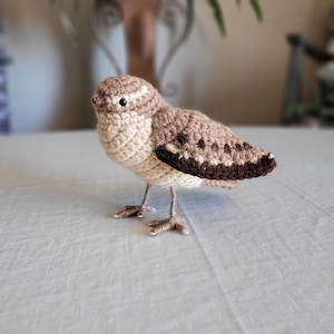Crocheted Wren Bird Ornament, Posable Amigurumi Bird Figurine