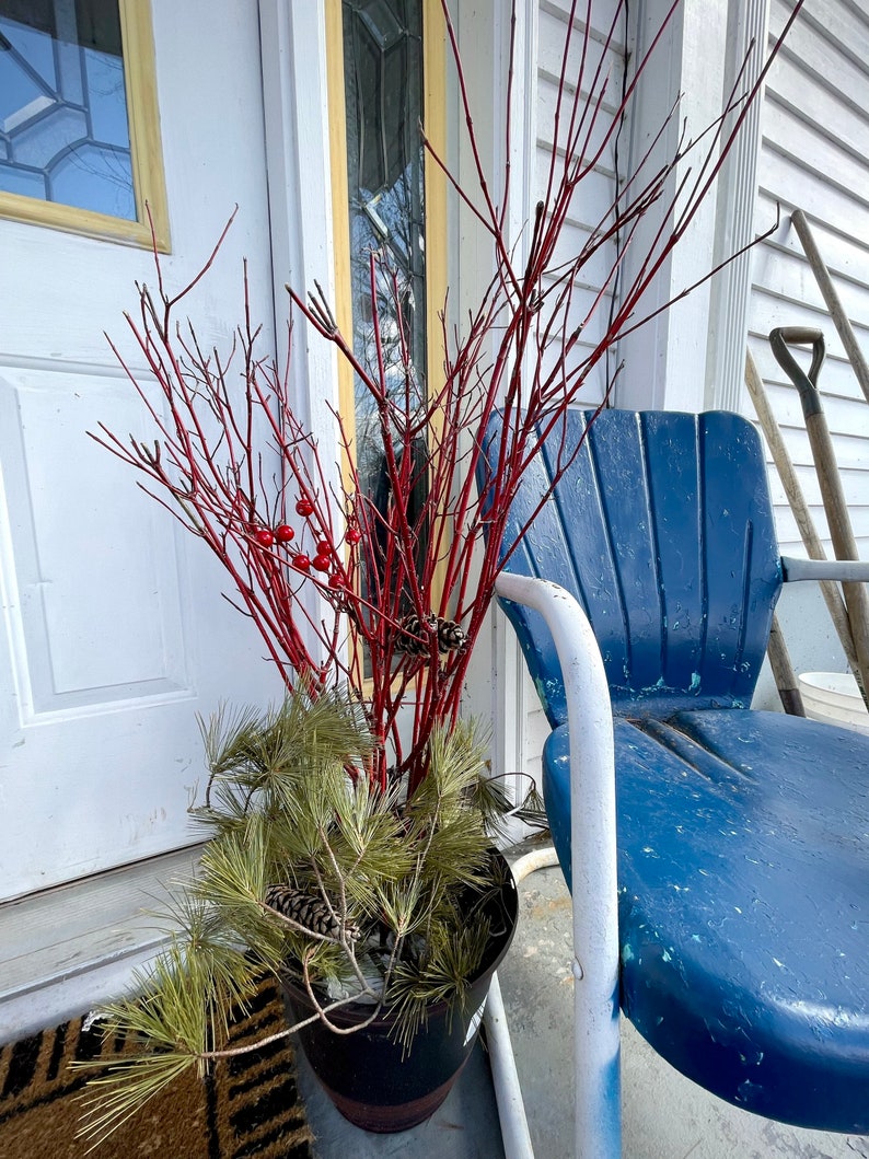 Red Dogwood/willow Cuttings for Planting or Crafts Etsy