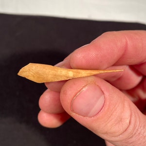 Pode incluir: Uma pequena ferramenta de osso pontiaguda de cor marrom claro. A ferramenta é segurada na mão.