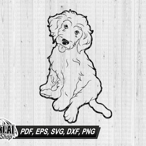 Goldendoodle SVG, Hundesilhouetten, Hunde SVG, digitale Vektor-Datei, Datei für Cricut, svg, Dxf, Jpg, Eps, Png
