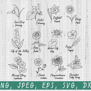 Birth month flower svg, wildflower svg, birth flower clipart, zodiac flower svg, cricut cutting files, silhouette, instant download,