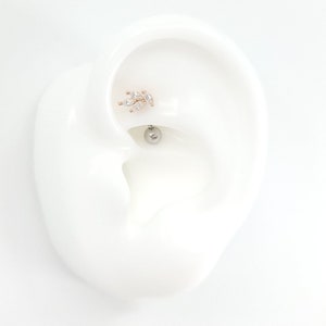 16G Small Leaf Designed CZ ROSE GOLD #Rook, Curved Barbell Cartilage Piercing #Externally Threaded bar with Surgical Steel or Titanium