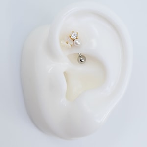 16G GOLD Motherpearl with CZ #Rook, Curved Barbell Cartilage Piercing #Externally Threaded #Surgical Steel(6,8,10mm)or Titanium (6,8mm)