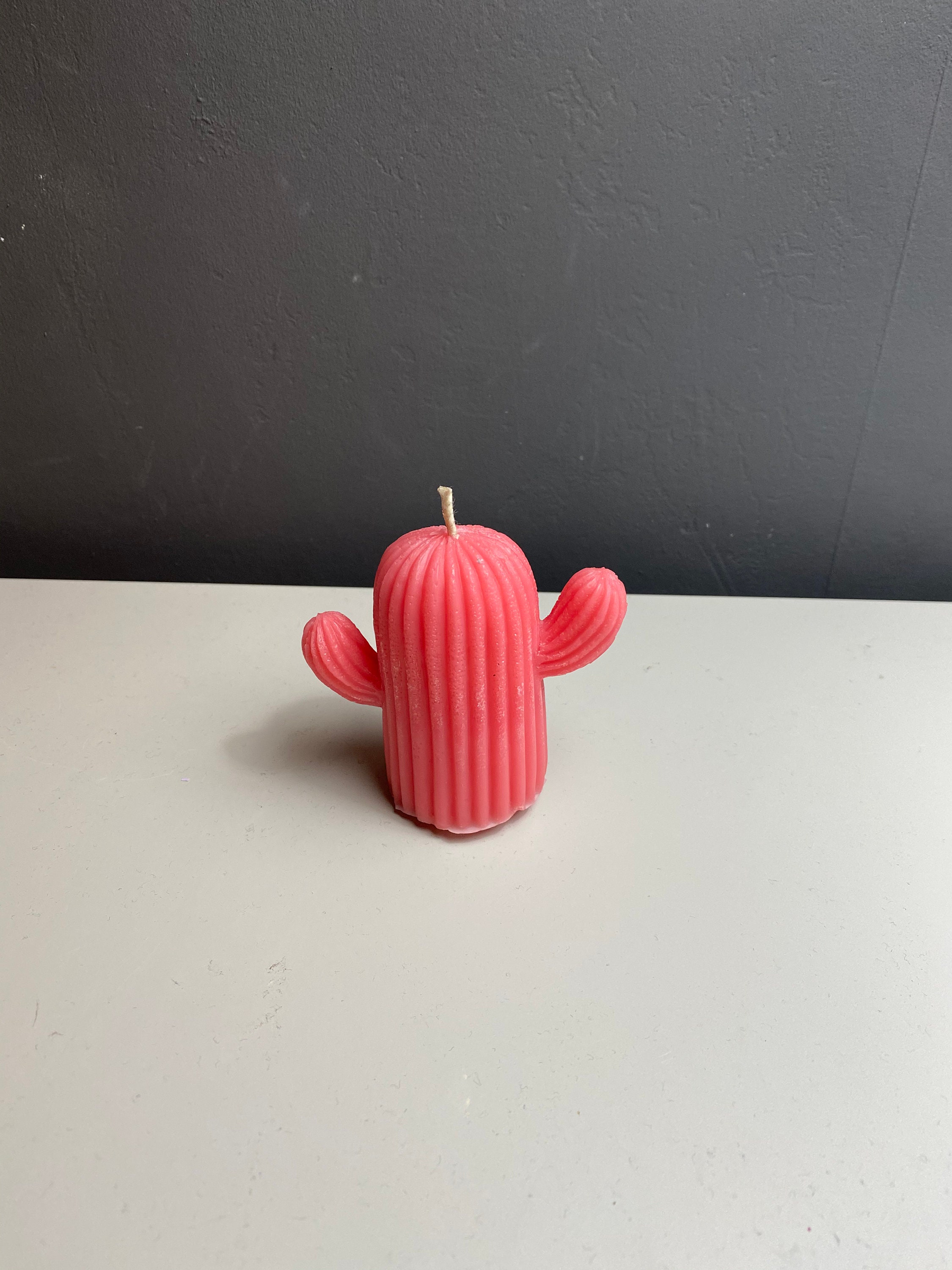 Cactus Candle Etsy UK