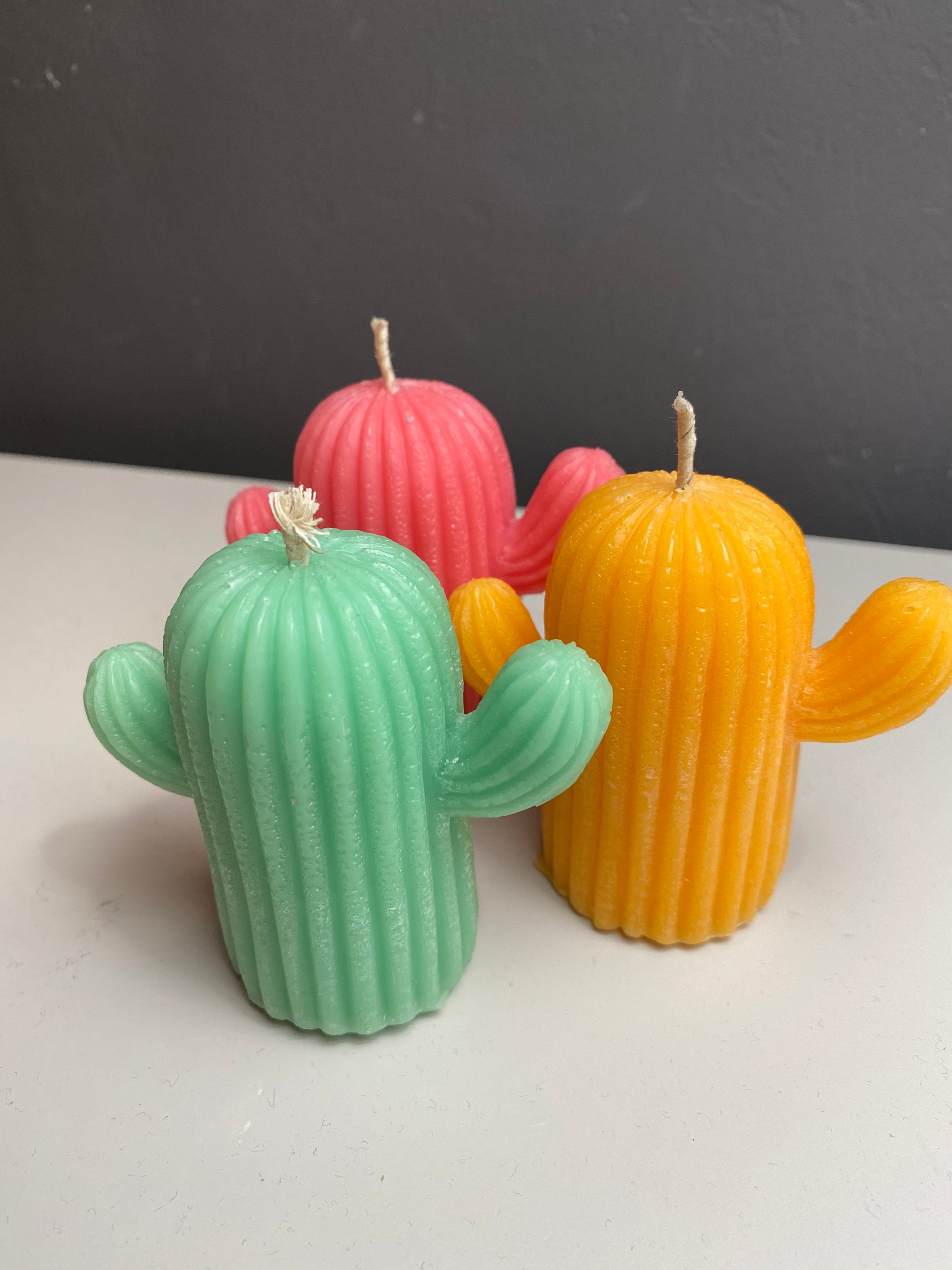 Cactus Candle Etsy UK