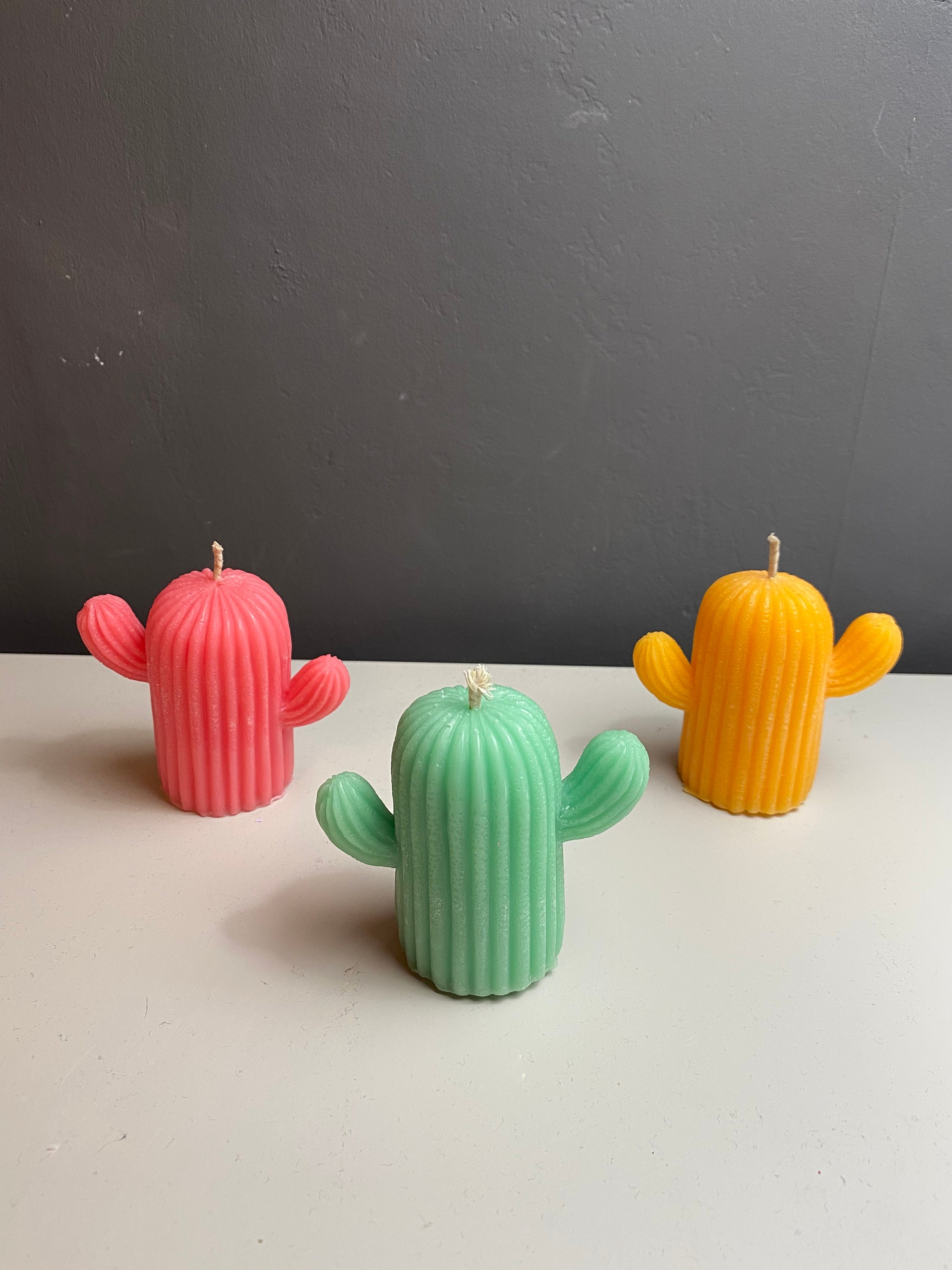Cactus Candle Etsy