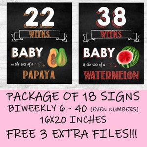Bi-Weekly Pregnancy Chalkboard Sign, Pregnancy journal, Pregnancy announcement, Pregnancy gift, Week By Week Pregnancy Sign, pregnant gift