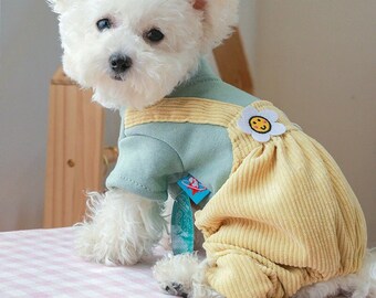 dog cute clothes