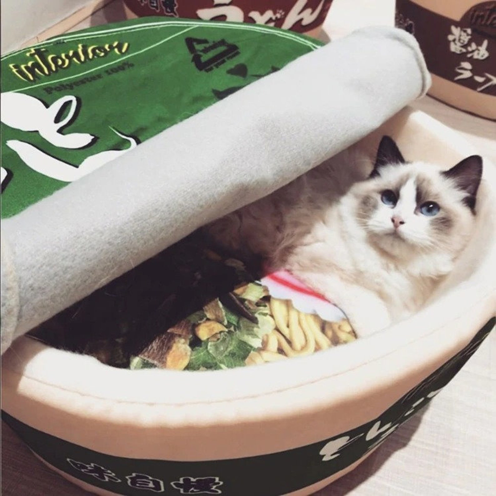 Noodle Bed Instant Ramen Dog Cat Bed Pet Cat Dog House Bed Etsy