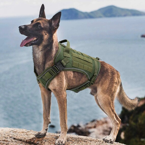 Dog Harness Vest Service Dog Durable Military Medium Large Dog | Etsy