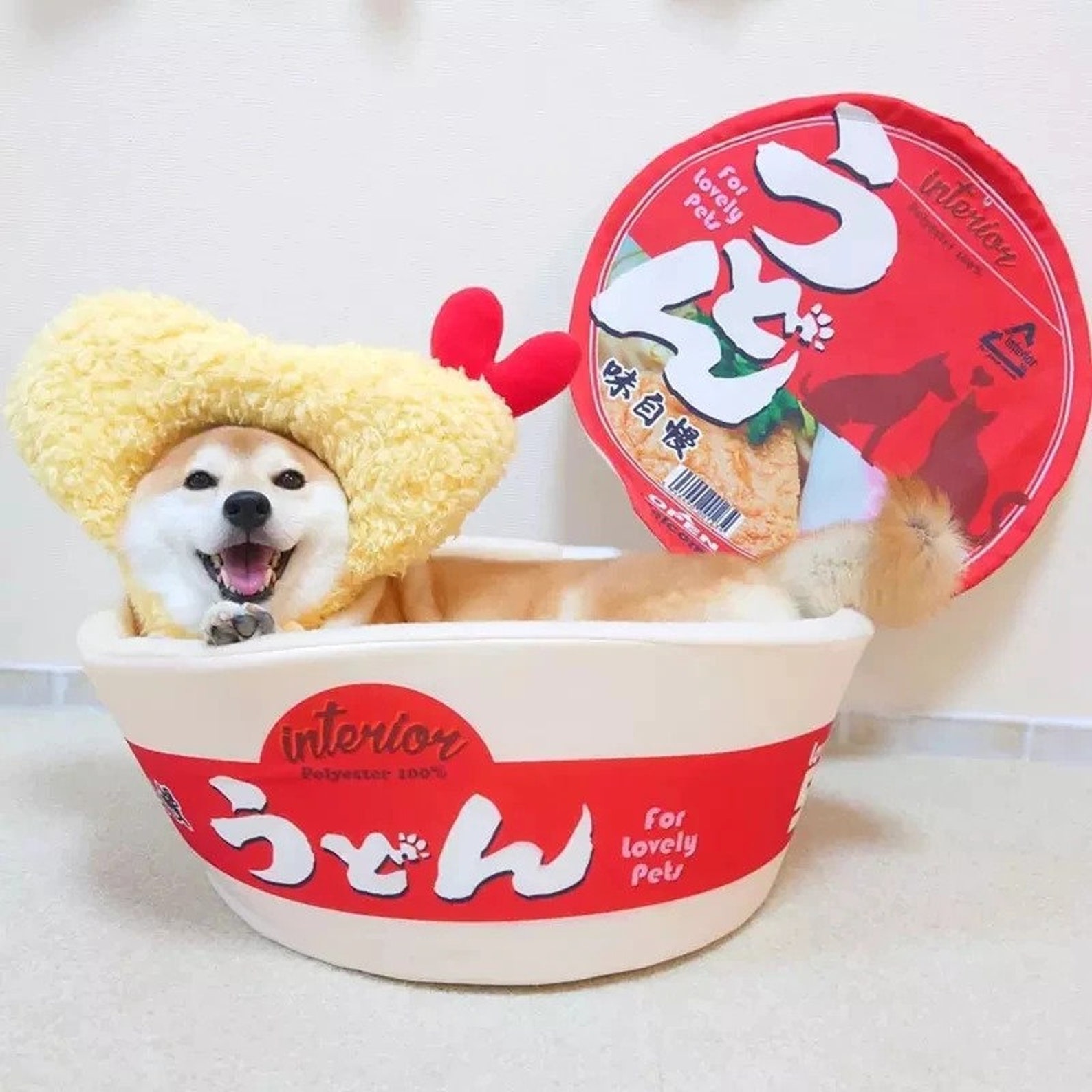 Noodle Bed Instant Ramen Dog Cat Bed Pet Cat Dog House Bed Etsy