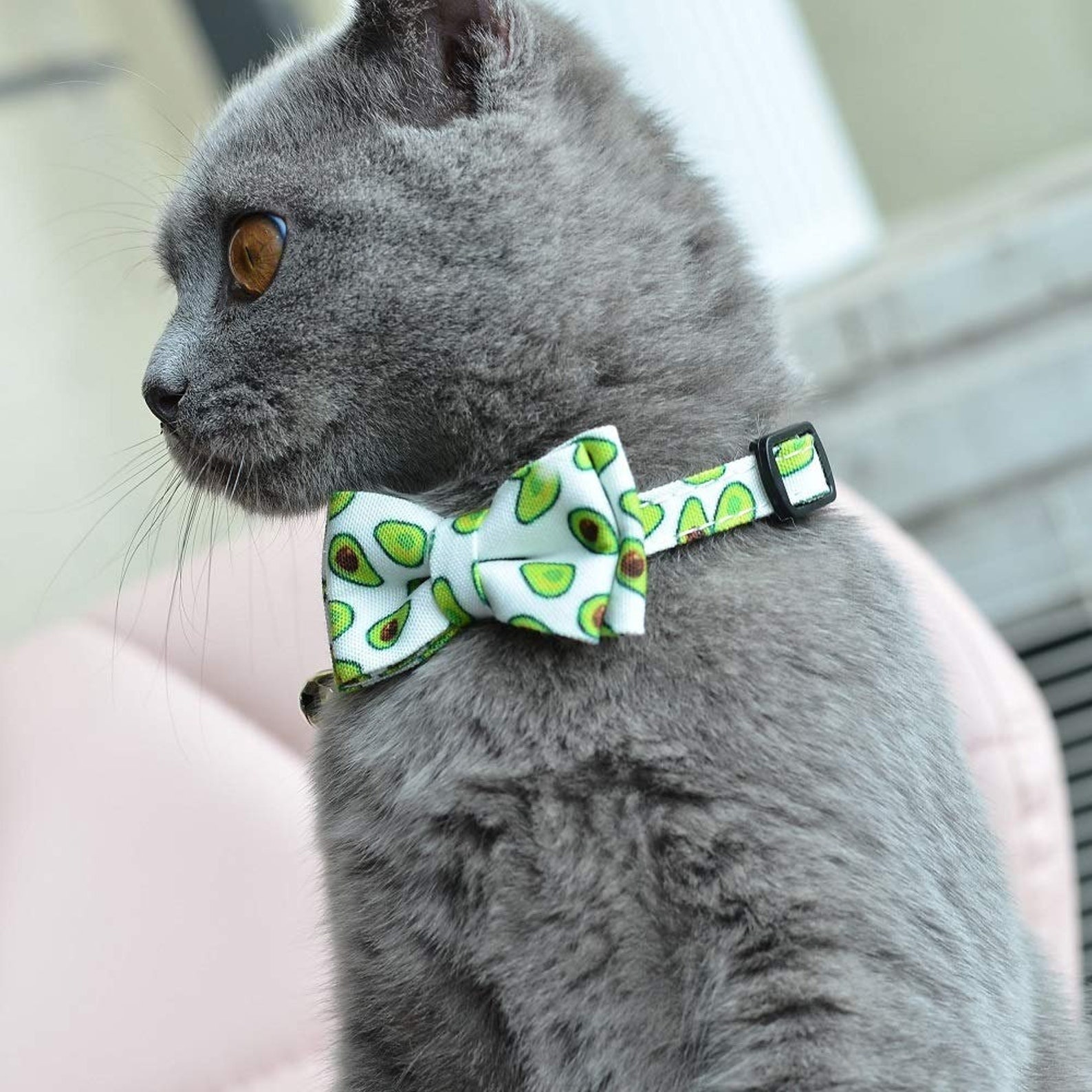 Katze Hund Welpen Sommer Wassermelone Avocado Bowtie Kragen Etsy