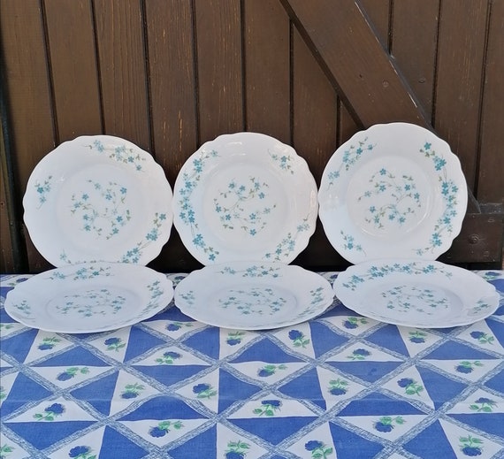 Années 1980 Suite de 5 assiettes Arc Arcopal France Modèle Vénorica