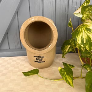 Può includere: Saliera in ceramica color beige con una grande apertura e una base arrotondata. La parola "SALT" è stampata in nero sul davanti. La saliera è su una tovaglia bianca con una pianta verde e gialla sullo sfondo.