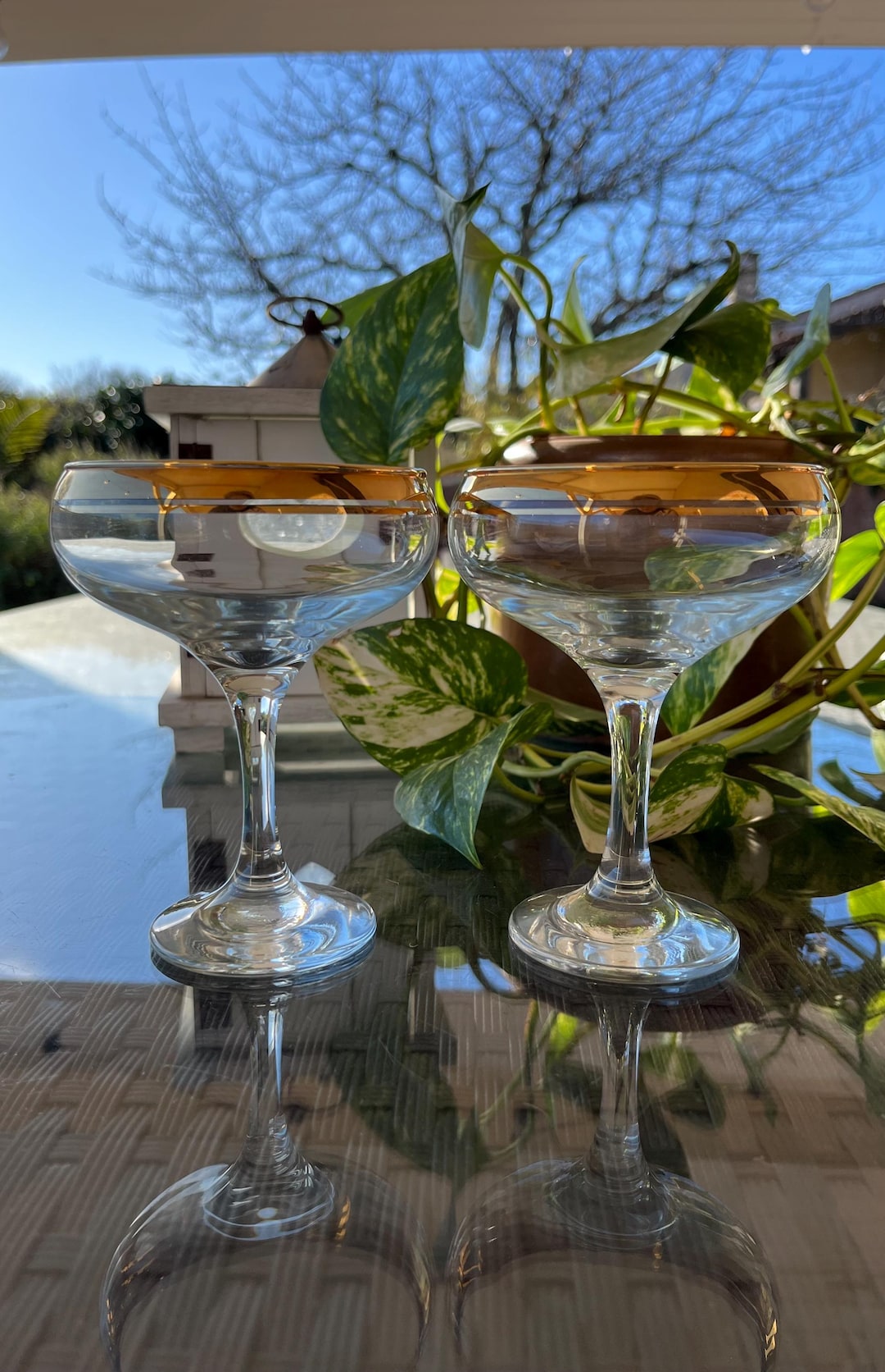 Blush Vintage Style Champagne Coupe Glass. Set of 2 main image 1