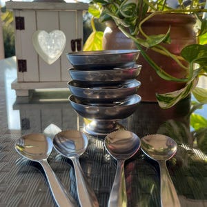Ciotole e cucchiai da dessert in acciaio inossidabile Vintage Paris Bistro - Set da 4