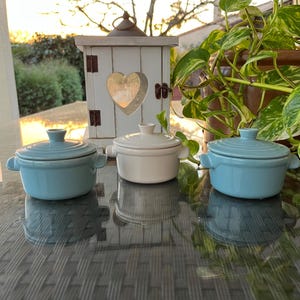 Può includere: Tre piccole pentole in ceramica con coperchi. Due sono azzurre e una è bianco sporco. Ogni pentola ha due piccole maniglie. Sullo sfondo c'è una casetta per uccelli decorativa in legno con un ritaglio a forma di cuore, insieme a vegetazione e un tramonto.