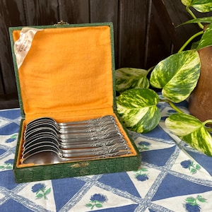 Cucchiaini da tè vintage francesi placcati in argento - Set da 12 in scatola decorata