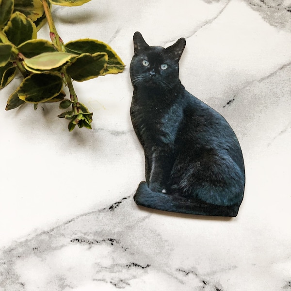 Black cat, wooden cutout for crafting and jewellery making. Witches cat, spooky season.