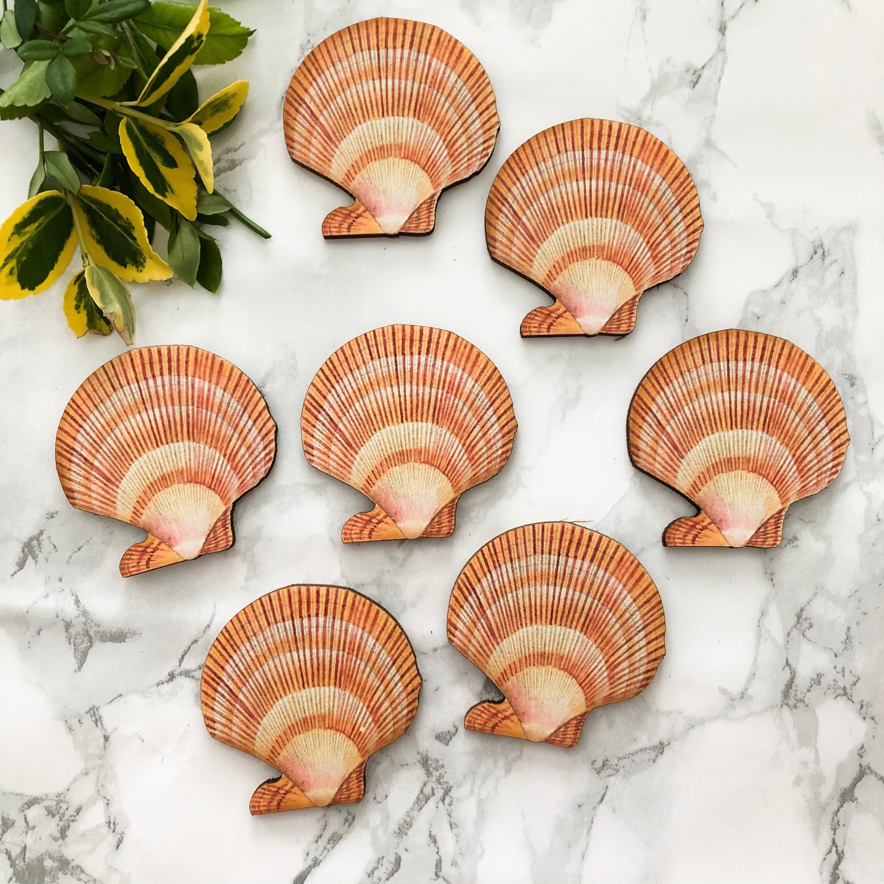 Pretty Sea Shell S 01 Wooden Cutout for Crafting and - Etsy UK
