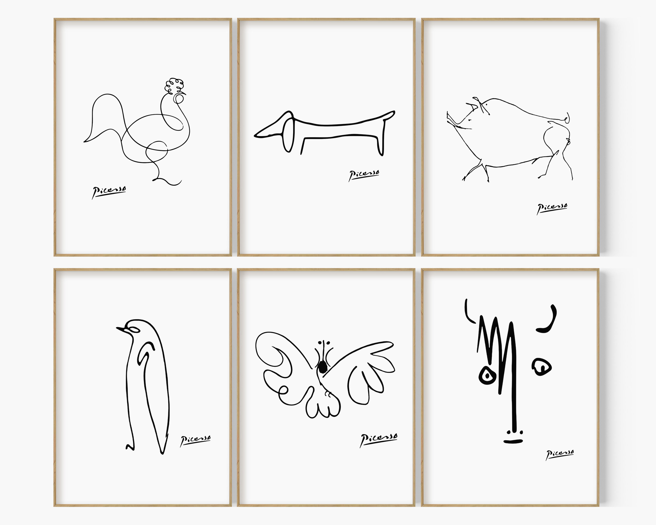 33 Picasso Line Drawings ideas