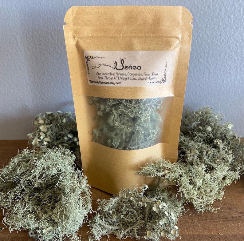 All Natural Usnea Lichen Old Man’s Beard Foraged From Nature image 1