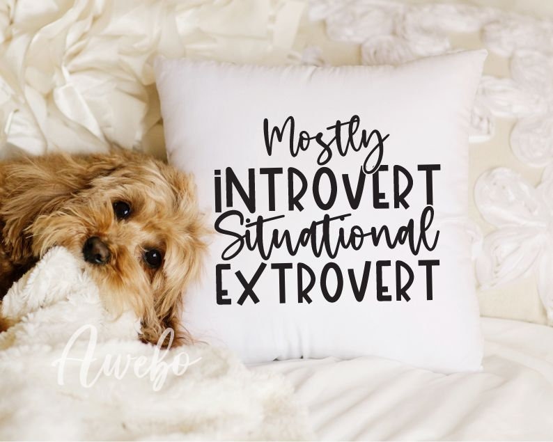 May include: White throw pillow with black text that reads "Mostly Introvert Situational Extrovert". A brown dog is lying on a white blanket in the background.