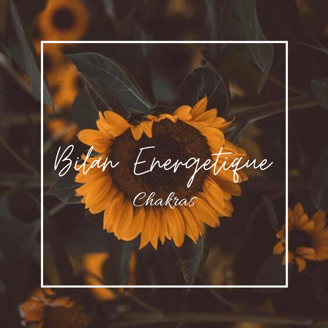 Bilan Énergétique Chakra