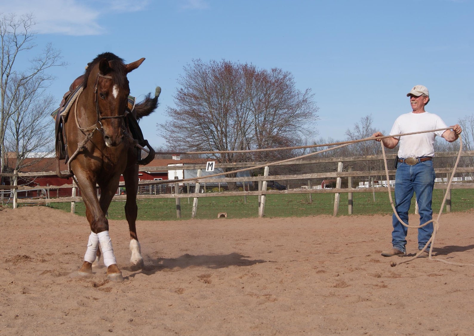 Drive Lines, Long Lines, Cotton Drive Lines, Horse Driving Lines