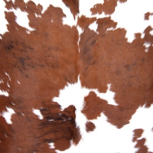 Cowhide | Roycycled Decoupage Paper | Roycycled Treasures