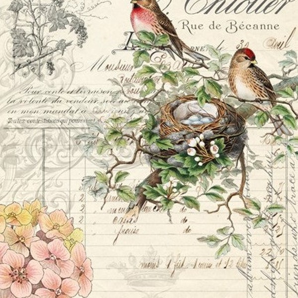 Bird Ephemera | Roycycled Decoupage Paper | Roycycled Treasures | Decoupage