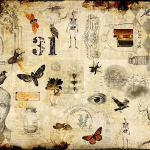 Halloween Masterboard | Roycycled Decoupage Paper | Roycycled Treasures