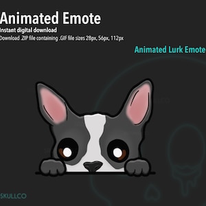 Émote animée dog lurk / Émoticônes animées Twitch / Emote de chien mignon